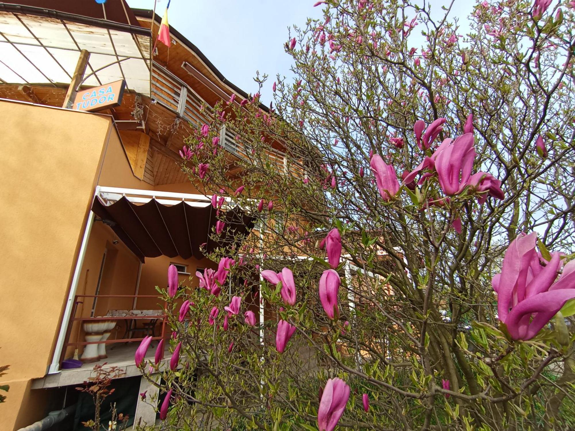 Casa Tudor טורדה מראה חיצוני תמונה